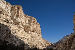 En Avdat (1v9)_t.jpg